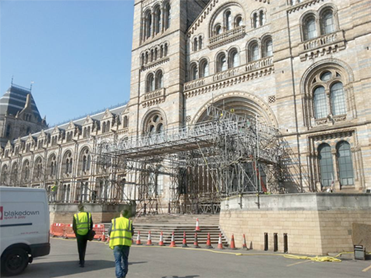 Natural History Museum Progress