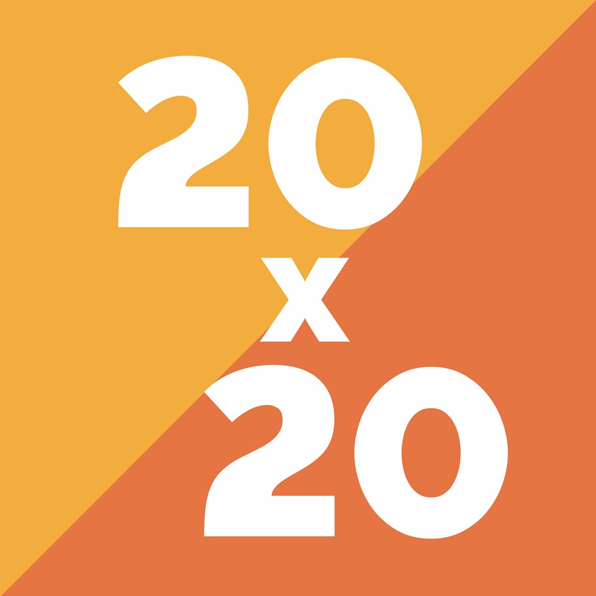 20x20